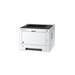 KYOCERA ECOSYS P2040dn 1200 x 1200 DPI A4